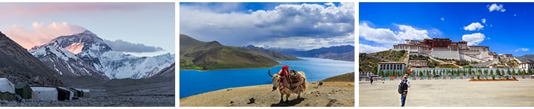 西藏风景布达拉宫雪山湖泊蓝天白云草原雪山风光实拍高清图片素材