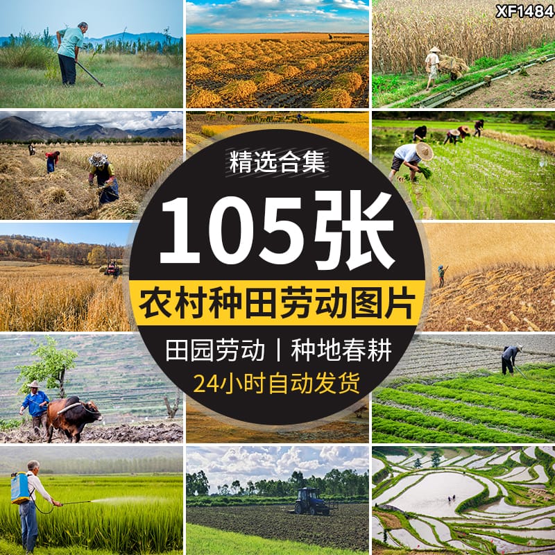 农村田园种地乡村种田插秧农耕春耕播种丰收劳动抖音图片设计素材