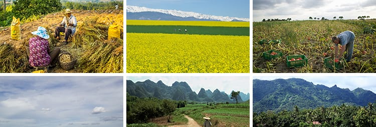 农村田园种地乡村种田插秧农耕春耕播种丰收劳动抖音图片设计素材