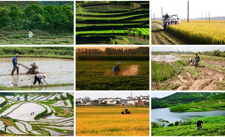 农村田园种地乡村种田插秧农耕春耕播种丰收劳动抖音图片设计素材