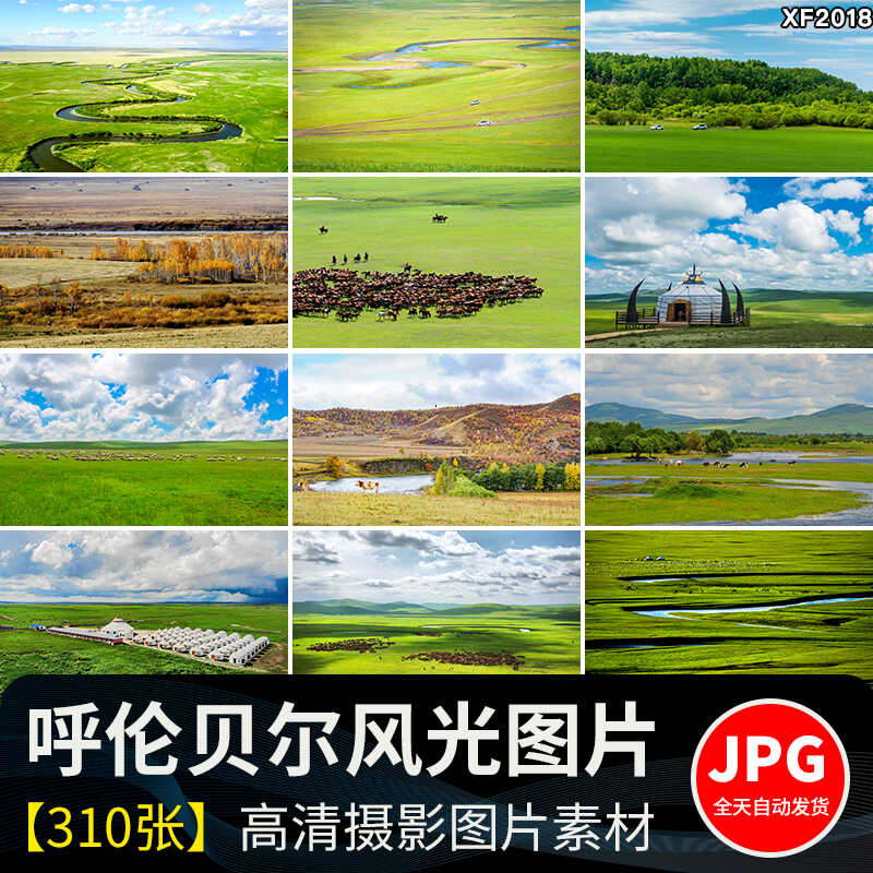 内蒙古呼伦贝尔大草原草地旅游风景牛羊马群牧场摄影高清图片素材