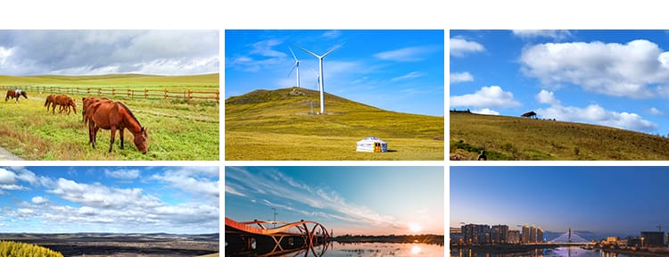 内蒙古呼伦贝尔大草原草地旅游风景牛羊马群牧场摄影高清图片素材