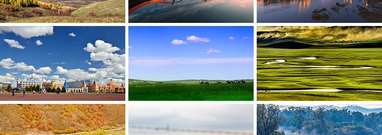 内蒙古呼伦贝尔大草原草地旅游风景牛羊马群牧场摄影高清图片素材