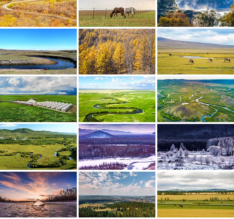 内蒙古呼伦贝尔大草原草地旅游风景牛羊马群牧场摄影高清图片素材