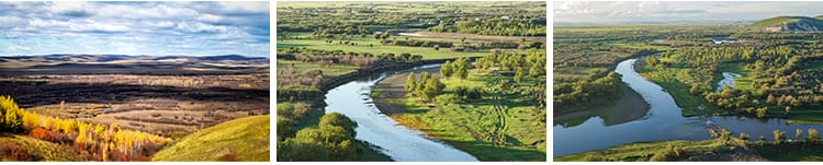 内蒙古呼伦贝尔大草原草地旅游风景牛羊马群牧场摄影高清图片素材