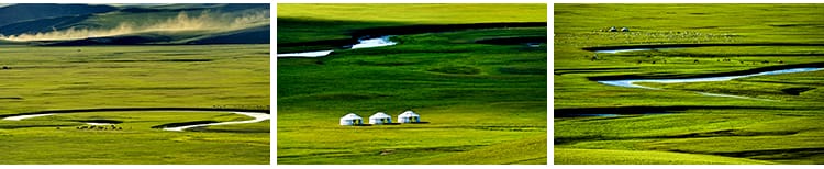 内蒙古呼伦贝尔大草原草地旅游风景牛羊马群牧场摄影高清图片素材