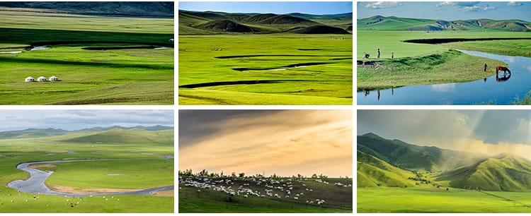 内蒙古呼伦贝尔大草原草地旅游风景牛羊马群牧场摄影高清图片素材