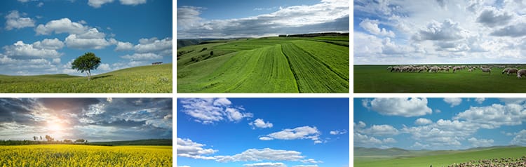 内蒙古呼伦贝尔大草原草地旅游风景牛羊马群牧场摄影高清图片素材