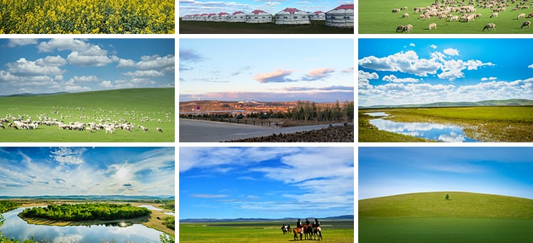 内蒙古呼伦贝尔大草原草地旅游风景牛羊马群牧场摄影高清图片素材