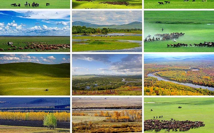 内蒙古呼伦贝尔大草原草地旅游风景牛羊马群牧场摄影高清图片素材