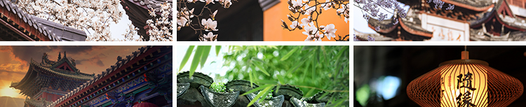 禅意风景寺庙寺院古建筑屋檐风景禅心古风小清新高清抖音图片素材