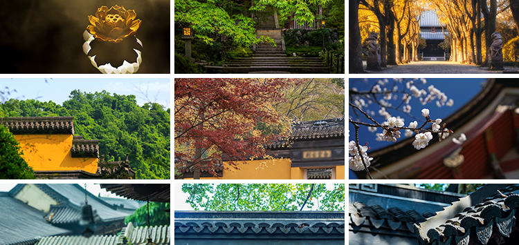 禅意风景寺庙寺院古建筑屋檐风景禅心古风小清新高清抖音图片素材