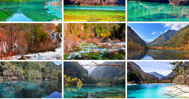 四川九寨沟旅游风景风光七彩池瀑布照片摄影抖音JPG图片设计素材