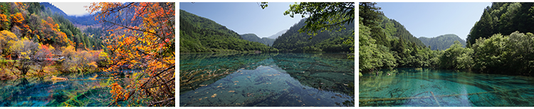 四川九寨沟旅游风景风光七彩池瀑布照片摄影抖音JPG图片设计素材