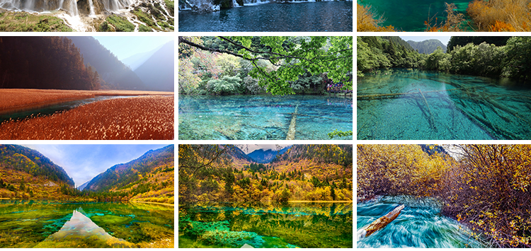 四川九寨沟旅游风景风光七彩池瀑布照片摄影抖音JPG图片设计素材