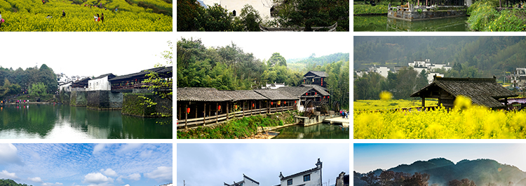 古镇婺源旅游风景点照片摄影油菜花乡村田园风光高清抖音图片素材