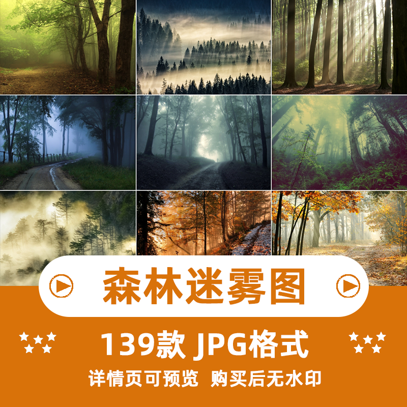 139张森林迷雾风景横版高清抖音自媒体pr剪辑背景图片素材