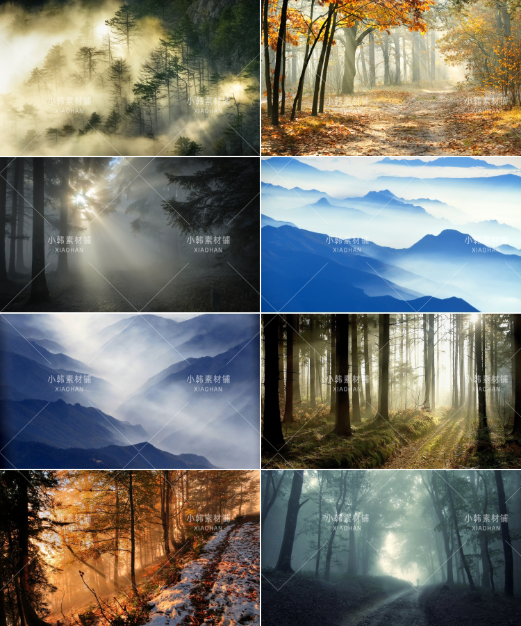139张森林迷雾风景横版高清抖音自媒体pr剪辑背景图片素材