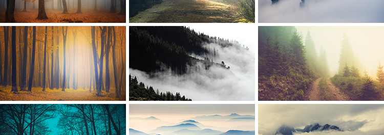 原始森林迷雾阴森恐怖树林雾气晨雾云雾缭绕自然美景风景图片素材