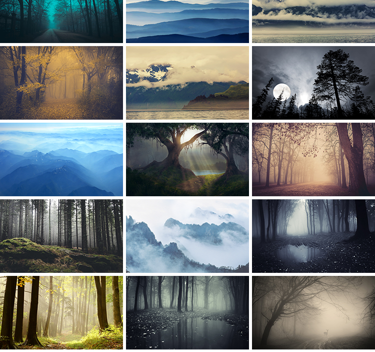 原始森林迷雾阴森恐怖树林雾气晨雾云雾缭绕自然美景风景图片素材