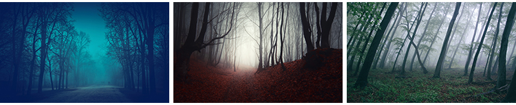 原始森林迷雾阴森恐怖树林雾气晨雾云雾缭绕自然美景风景图片素材