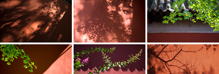 红墙宫殿禅意古典建筑旅游风景清新照片摄影抖音高清图片设计素材