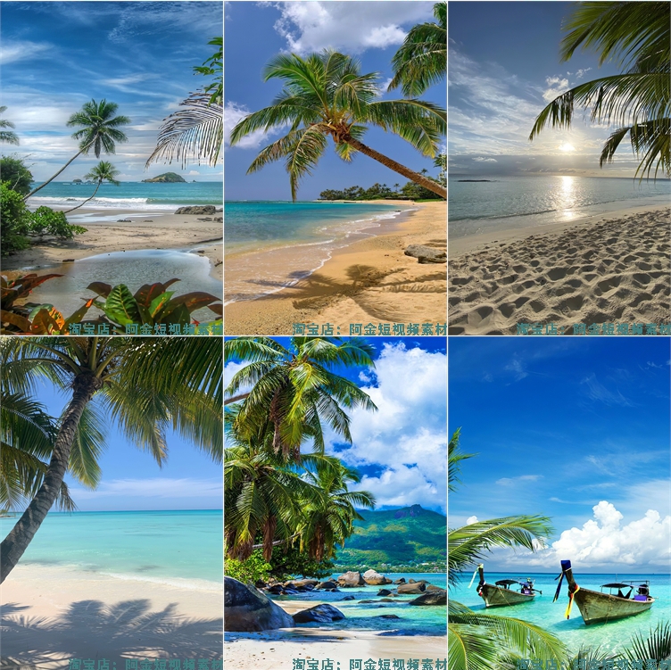 海边沙滩椰树夏天夏日海滩风景海水抖音绿幕直播led背景图片素材