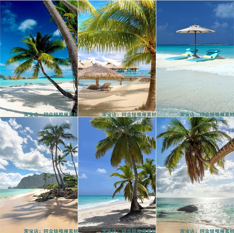 海边沙滩椰树夏天夏日海滩风景海水抖音绿幕直播led背景图片素材