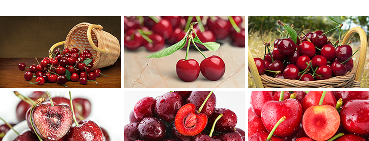 樱桃车厘子红色樱桃新鲜水果实果肉特写美食摄影JPG照片图片素材