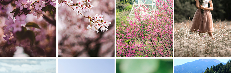 春暖花开唯美春天花朵植物春季初春萌芽发芽开花自然风景图片素材