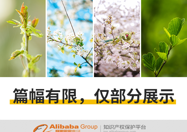 春暖花开唯美春天花朵植物春季初春萌芽发芽开花自然风景图片素材