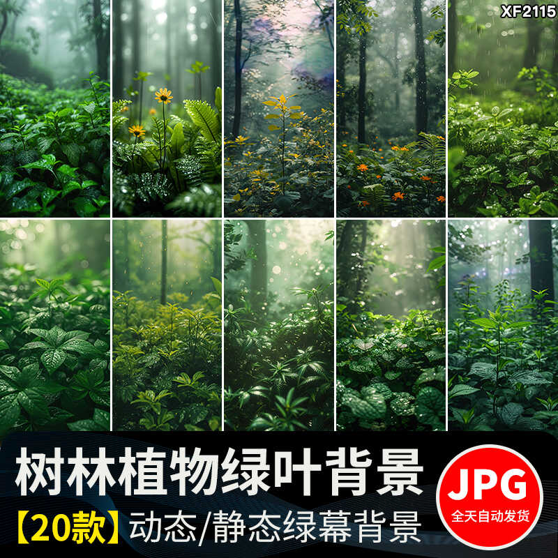 春天植物绿植清新丛林树叶子绿叶绿色动态视频直播间背景图片素材