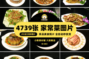 高清美食菜谱菜品JPG图片家常菜图库电商广告设计美工素材