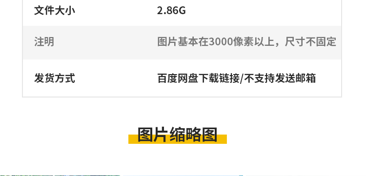 茶园茶山上茶叶茶树嫩芽绿茶采茶梯田茶场田园自然风光图片照素材