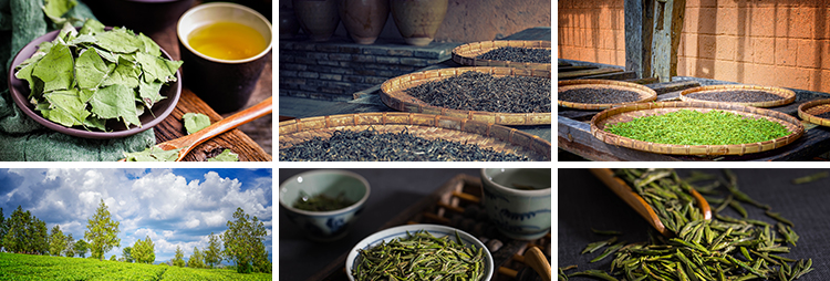 中国茶文化茶道茶叶洗茶艺喝茶品茶沏茶泡茶意境禅意抖音图片素材