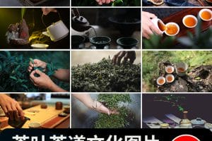 中国茶文化茶道茶叶洗茶艺喝茶品茶沏茶泡茶意境禅意抖音图片素材