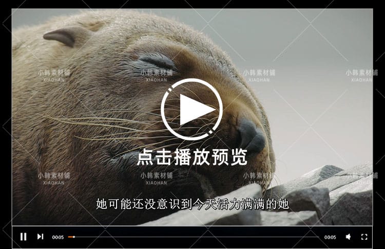 迪士尼野生动物纪录片动物成长中视频自媒体解说高清视频素材