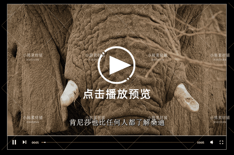 迪士尼野生动物纪录片动物成长中视频自媒体解说高清视频素材