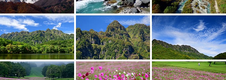 4K山川河流瀑布湖泊云海花朵花草植物自然风景实拍高清长视频素材