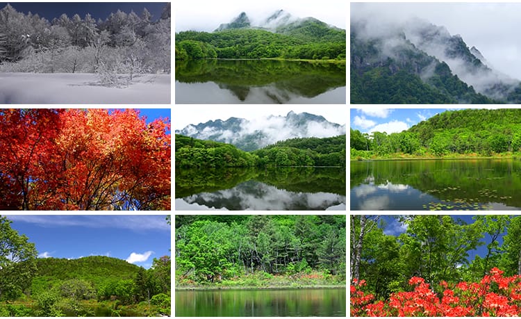 4K山川河流瀑布湖泊云海花朵花草植物自然风景实拍高清长视频素材