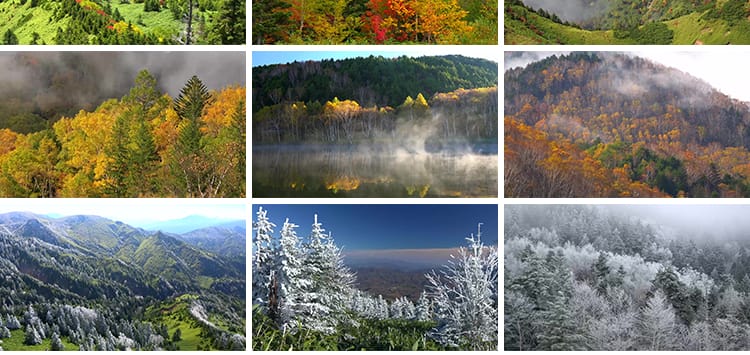 4K山川河流瀑布湖泊云海花朵花草植物自然风景实拍高清长视频素材