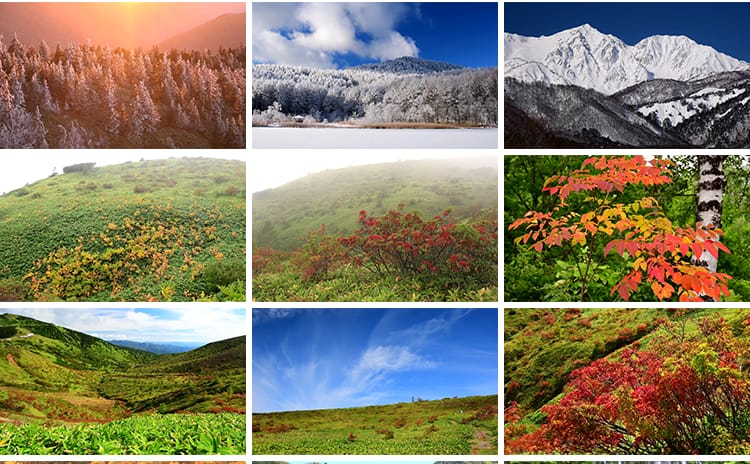 4K山川河流瀑布湖泊云海花朵花草植物自然风景实拍高清长视频素材