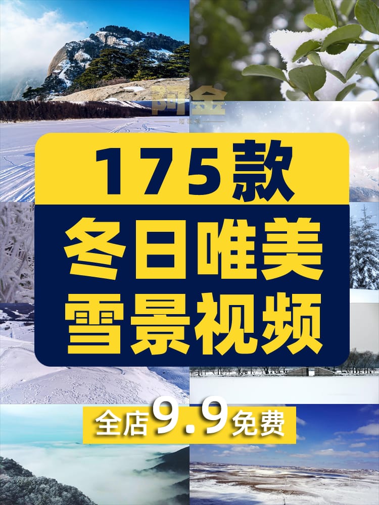冬日雪景下雪雪花风景素材高清旅游自然唯美治愈系短视频背景剪辑