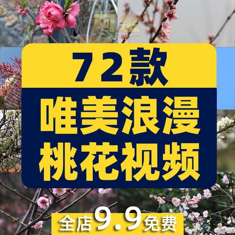 唯美浪漫桃花春暖花开乡村风景素材高清旅游自然治愈系短视频背景