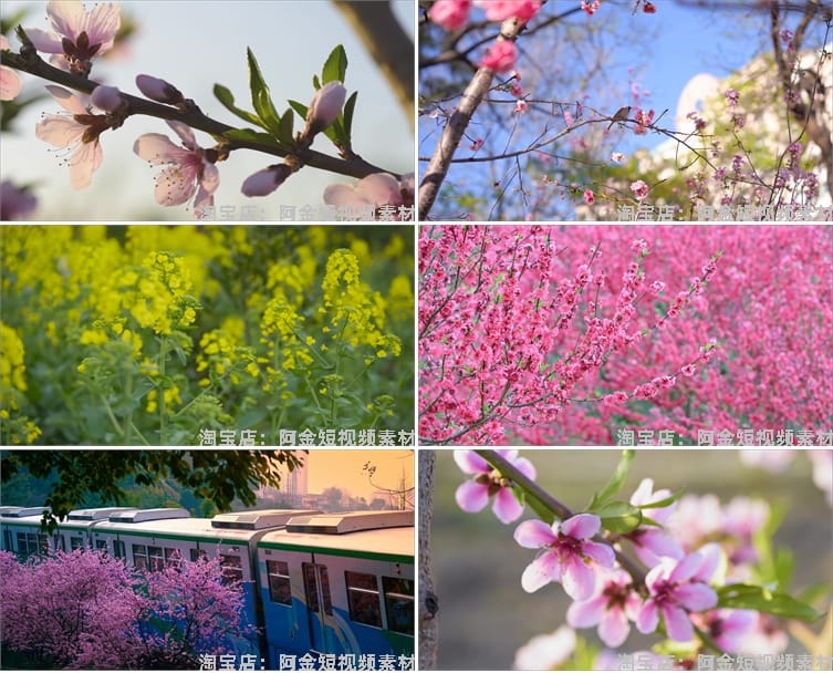 唯美浪漫桃花春暖花开乡村风景素材高清旅游自然治愈系短视频背景