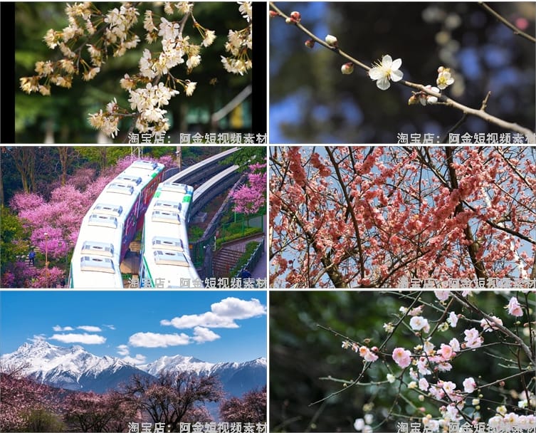 唯美浪漫桃花春暖花开乡村风景素材高清旅游自然治愈系短视频背景