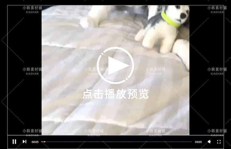 搞笑幽默动物宠物萌宠短视频设计素材可爱猫咪狗狗爆笑呆萌高清