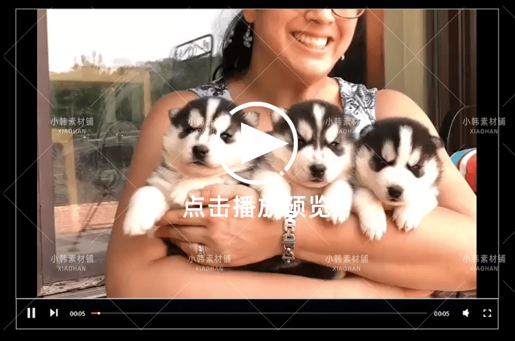 搞笑幽默动物宠物萌宠短视频设计素材可爱猫咪狗狗爆笑呆萌高清