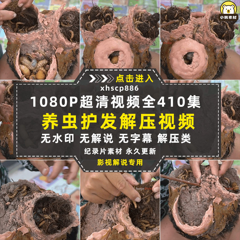 解压驱虫纪录片养虫护发全410集中视频自媒体解说高清视频素材