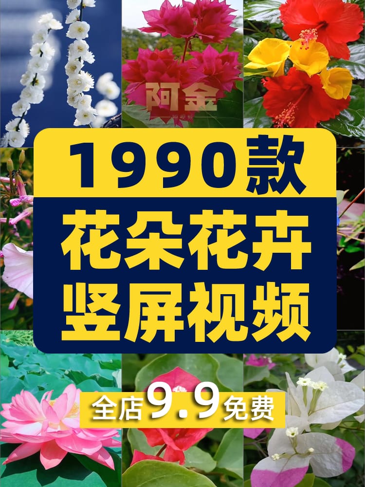 竖屏花朵花卉花开风景素材高清旅游自然唯美治愈系短视频背景剪辑